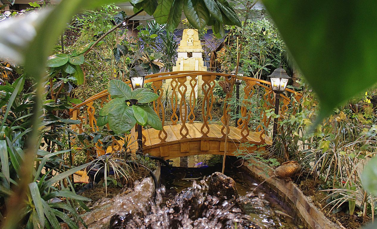 Тропический сад «Миндо» в Санкт-Петербурге